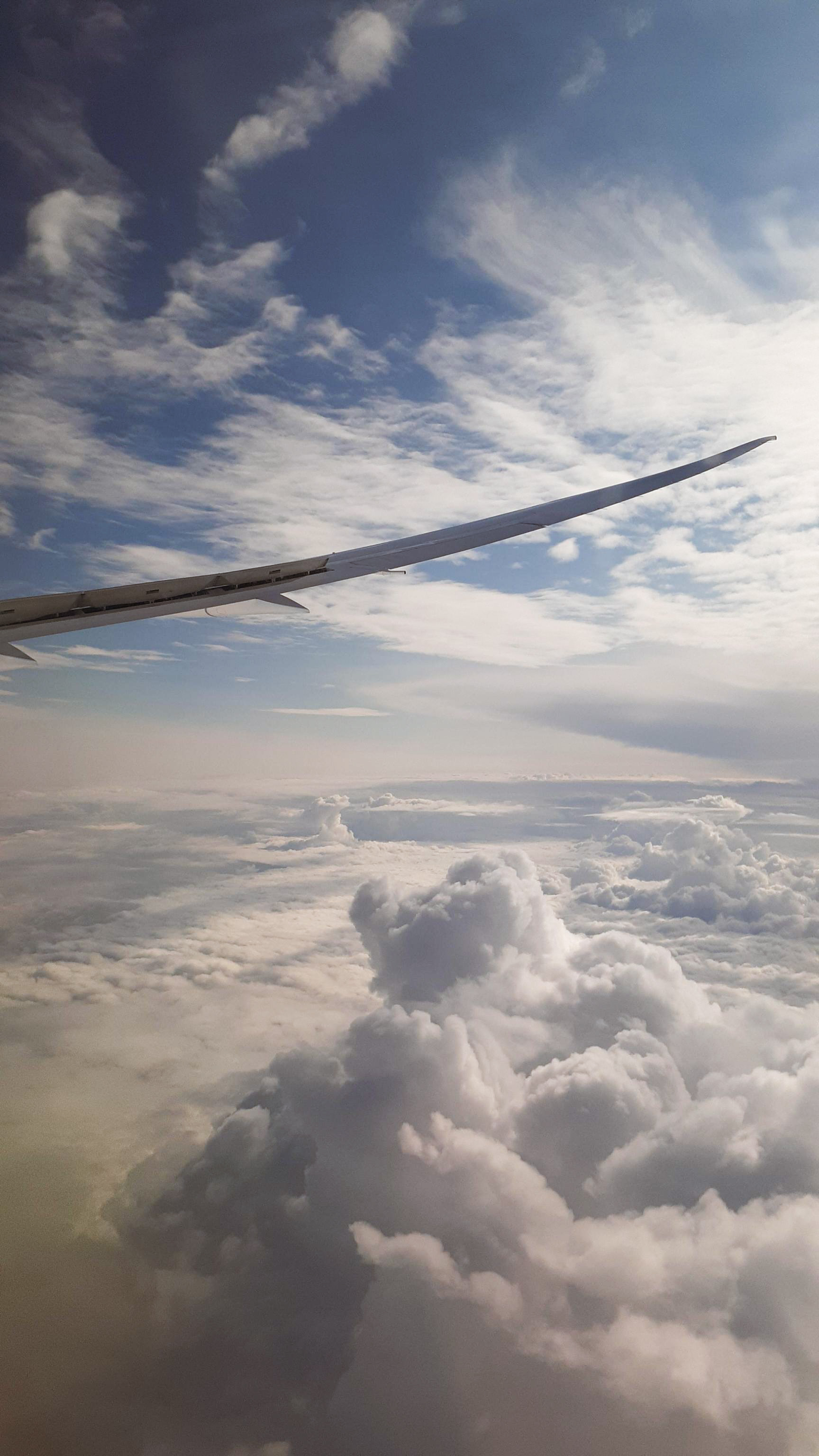 View from Plane I