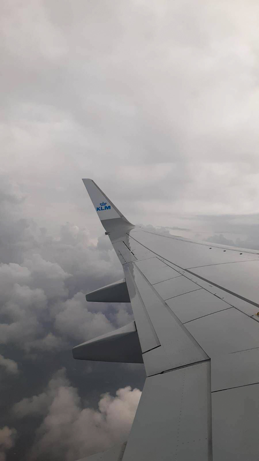 View from Plane III