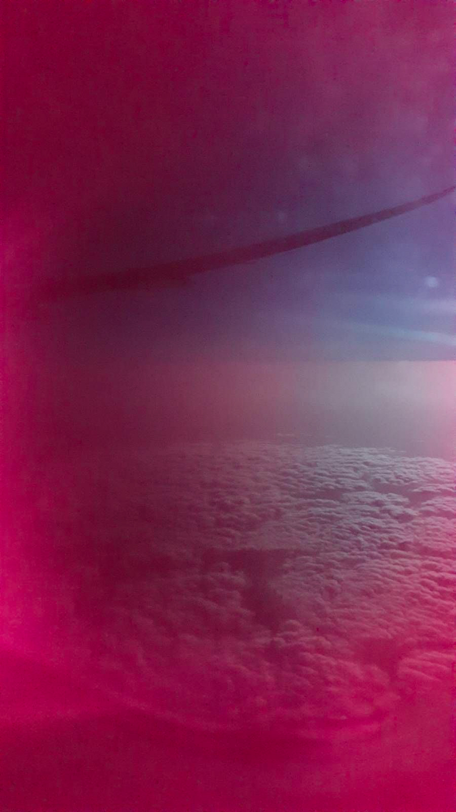 Tinted Window in Plane